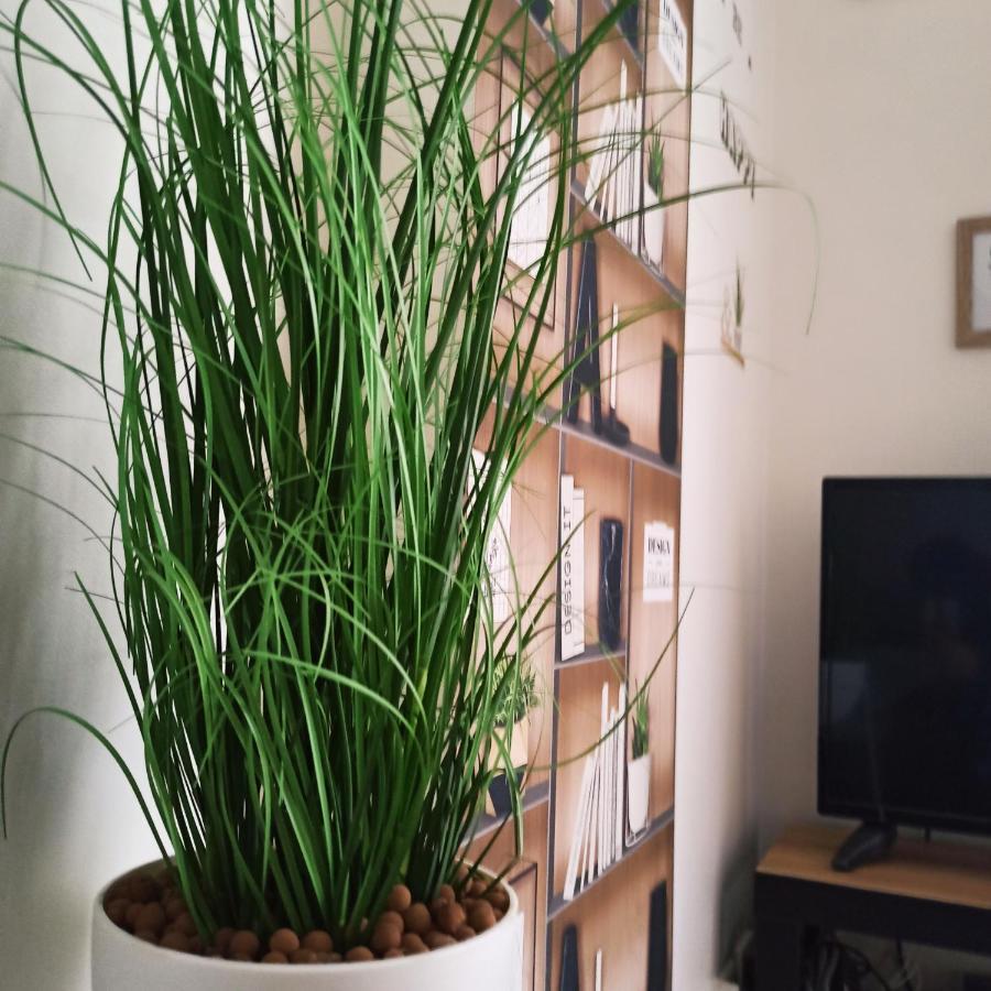 Apartment Detente & Jardin By Beds4wanderlust - T2 Avec Jardin - Gare Plaisir-grignon, Versailles 20km Plaisir